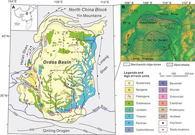 Quantitative reconstruction of Early Cretaceous dune morphology in the Ordos paleo-desert and its paleoclimatic implications